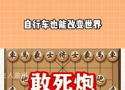九游娱乐在线-自行车赛事中逆袭神奇，一场改写历史的挑战