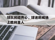 九游体育官网-球队团结齐心，球迷助威场上胜利喜人的简单介绍